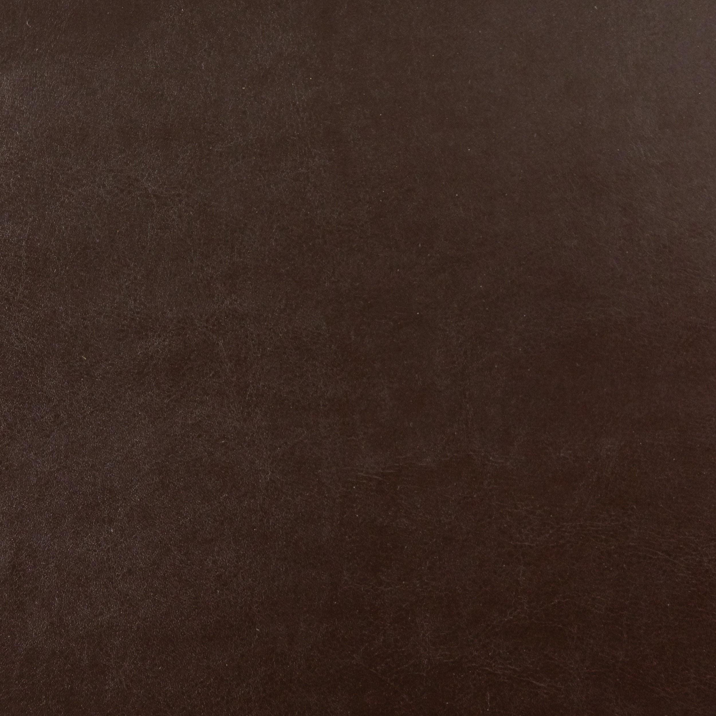 Noble House Liam Leather Brown Club Chair