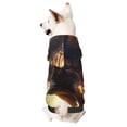 thumbnail image 1 of Fotbe Golden Sky Bald Eagle Sudadera con Estampado para Perros Pequeños – Suéter con Capucha para Mascotas, Tela Suave de Forro Polar con Bolsillo-Small, 1 of 7