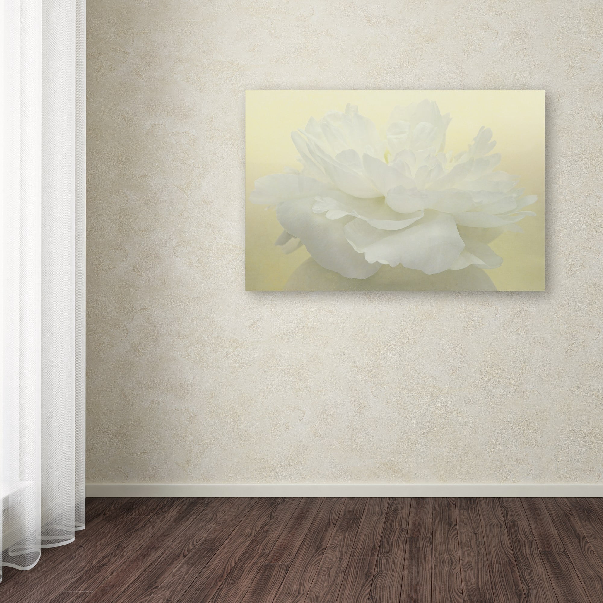 Trademark Fine Art 'Pure White Peony' Canvas Art by Cora Niele