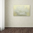 thumbnail image 4 of Trademark Fine Art 'Pure White Peony' Canvas Art by Cora Niele, 4 of 4