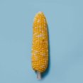 thumbnail image 3 of 10pcs Stainless Steel Corn Cob Holders, Fruit and Vegetable Forks, 3 of 5