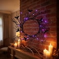 Caitelin Halloween Black Twig Wreath Bat Decor Glitter Gothic Front 