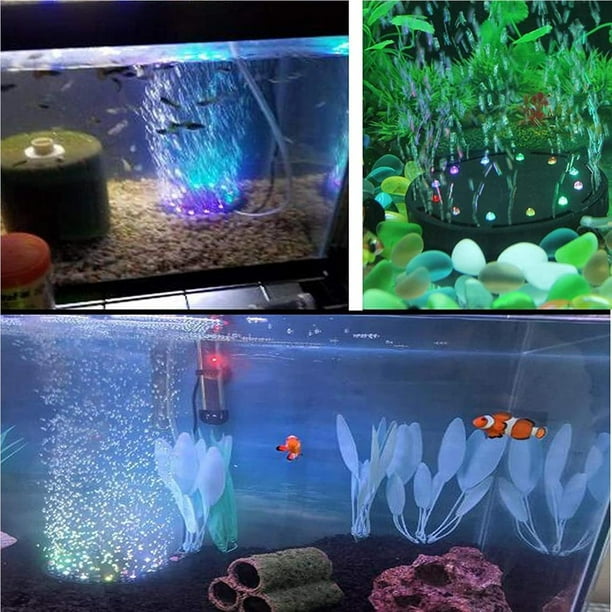 Living aquarium best sale lamp