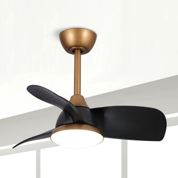 Parrot Uncle 28 inch Modern Black LED Ceiling Fan with Light and Remote Control