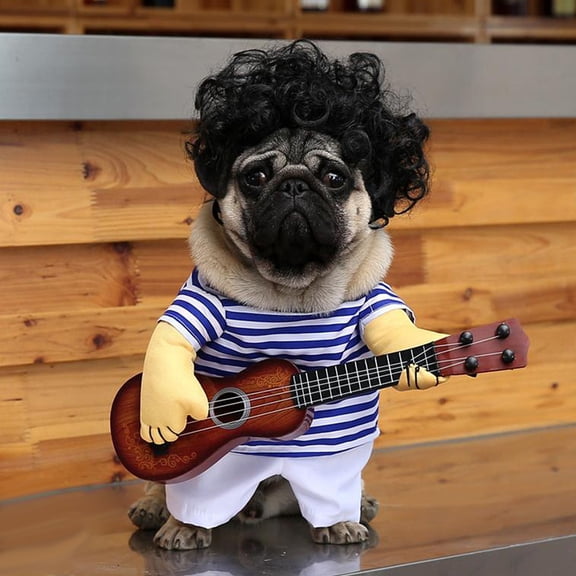 LOLIPPYY Funny Puppy Guitar Player Costume Pet Clothes Size L