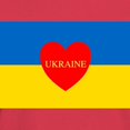 thumbnail image 3 of CafePress - National Flag Of ??????? / Ukraine High Qu T Shirt - Women's Traditional Fit Dark T-Shirt, 3 of 4
