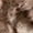 Variegated Mocha, variant on Bare Home Faux Fur Blanket - 47" x 60" - Ultra Soft Fleece - Throw, Blush