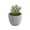 E, variant on Small Fake Plants Realistic Lifelike Artificial Potted Succulents, Mini Durable Plastic 2.7x2.6x2.6 in with Pot Faux Plants for Home Office, Kitchen, and Indoor Table Decor
