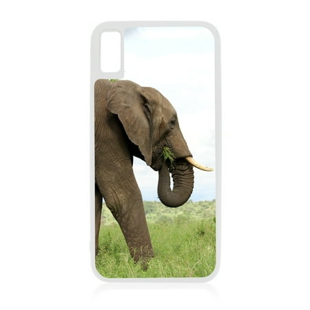 Baby Elephant in Diapers iPhone 11 case Baby Elephant in Diapers iPhone 11 case