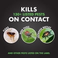 thumbnail image 4 of Spectracide Triazicide Insect Killer For Lawns & Landscapes, Ready-to-Use, 1-gallon, 4 of 10