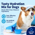 thumbnail image 3 of LYX Essential Hydration for Dogs – Electrolyte & Nutrient Water Enhancer for Active & Senior Dogs – Supports Hydration, Recovery & Wellness – Travel-Friendly Supplement Packets – 7 Count (Chicken), 3 of 10