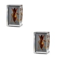 thumbnail image 2 of Bewildely Espécimen de insecto Real resistente y duradero con Ideas transparentes, no tóxicas, adorno pequeño, grillo topo grillo topo 2Conjunto, 2 of 6