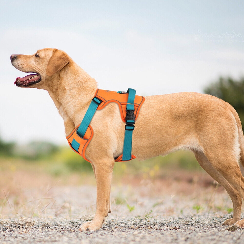 Pet Artist Reflective Non Pull Dog Harness Adjustable Pet Vest S/M/L for Beagle Rottweiler