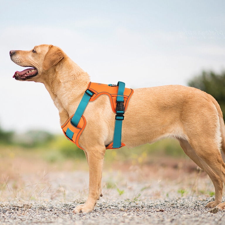 Didog Reflective Nylon Dog Harness No Pull Padded Vest with Handle