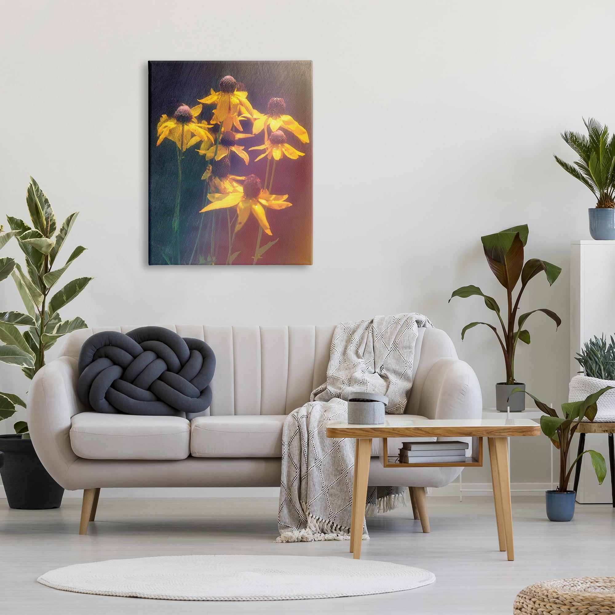 Stupell Industries Black-Eyed Susan Photography Botanical & Floral Photography Gallery Wrapped Canvas Art Print Wall Art, 30 x 40