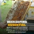thumbnail image 5 of Mann Lake HopGuard 3, Optimal Bee Colony Mite Control, Compatible with Various Hives, Residue-Free, Engineered for Extreme Weather Conditions, 24 Strips (12 Treatments), 5 of 6