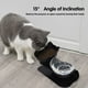thumbnail image 3 of Cat Cats Food Bowl Alimentando 15 Tildo Tilted Basic Bowl receptor de comida Desmontables Criados Con Soporte, 3 of 6