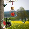 thumbnail image 1 of Hummingbird Wild Bird Feeder Plastic Bird Feeding Jar Transparente (Tipo de bombilla), 1 of 8