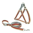 thumbnail image 4 of Flmtop Pet Dog Puppy Reflective Harness Chest Strap Adjustable Leash Traction Rope Pink, 4 of 8