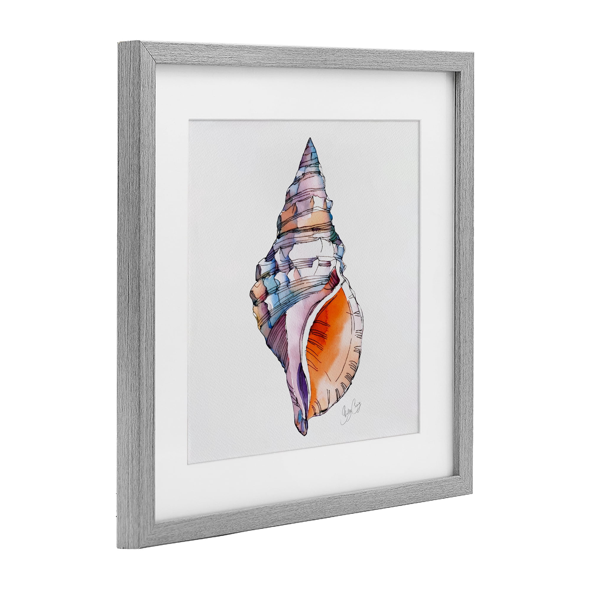 Stupell Industries Sunrise Conch Shell Gray Framed Print Under Glass, design by Shelly Craig