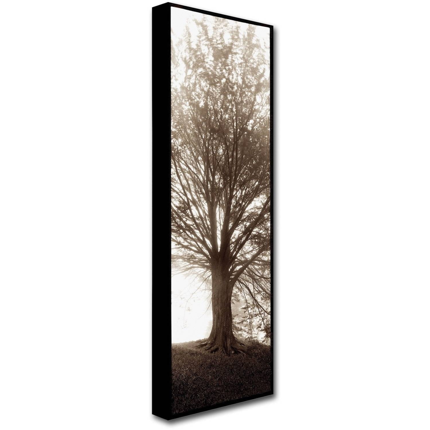 Trademark Fine Art Alan Blaustein Hampton Gates Tree No. 1 Canvas Wall Art - 6x19