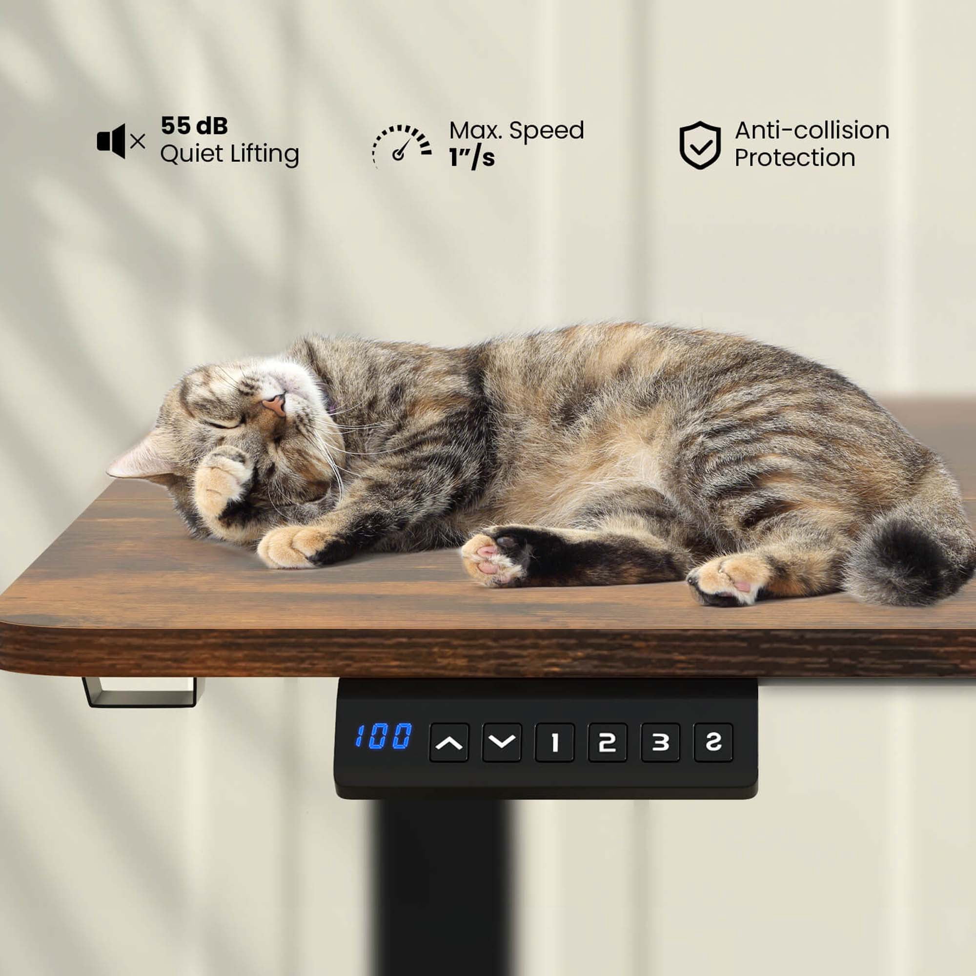 Costway 55" x 24" Electric Standing Desk with 3 Memory Height Settings 2 Hanging Hooks Brown