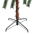 thumbnail image 5 of Northlight 4' Pre-Lit Artificial Tropical Outdoor Patio Palm Tree - Multicolor Lights, 5 of 5