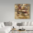 thumbnail image 3 of Trademark Fine Art 'Ruins' Canvas Art by Silvia Vassileva, 3 of 3