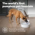 thumbnail image 3 of PetSafe Outlast Pumpless Dog Water Fountain 128 oz, Dishwasher Safe, Easy Assembly, 3 of 8