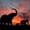Elephant Silhouette Sunset, variant on Elephant Stock Elephant Bath Time Wall Art - Horizontal Canvas Wall Art - Living Room Wall Decor - Animal Canvas - Gray And Blue Decor - 36" x 24"
