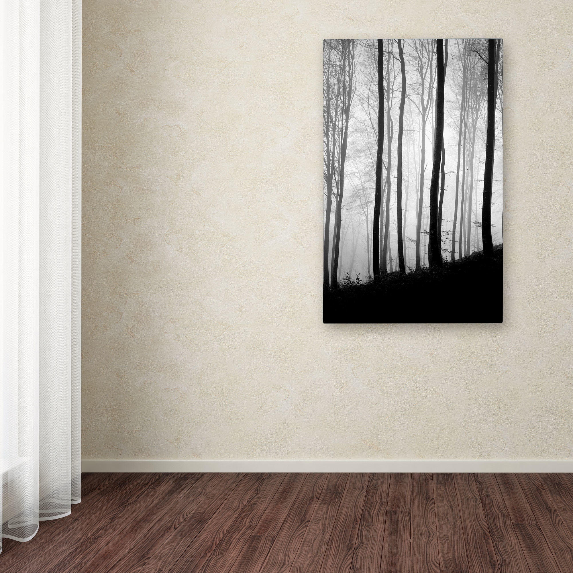 Trademark Fine Art "Black Lines" Canvas Art by Philippe Sainte-Laudy