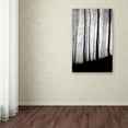 thumbnail image 3 of Trademark Fine Art "Black Lines" Canvas Art by Philippe Sainte-Laudy, 3 of 3