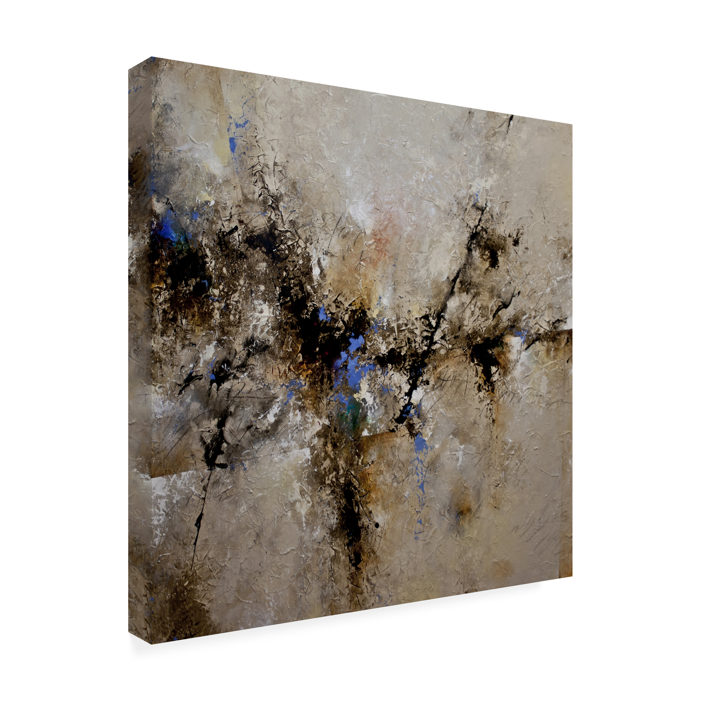 Trademark Fine Art "Sands of Time II" Canvas Art by CH Studios