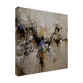 thumbnail image 4 of Trademark Fine Art "Sands of Time II" Canvas Art by CH Studios, 4 of 4