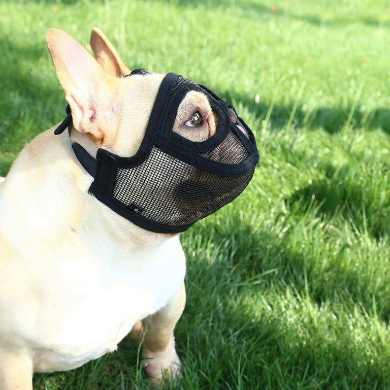 Mesh Dog Muzzle Short Snout Dog Muzzle Adjustable French Bulldog Muzzle Anti Biting Chewing Barking Mouth Cover For English Bulldog Pekingese Pug