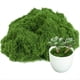 thumbnail image 1 of Artificial para Plantas de Interior, Ideal para Jardines de Hadas en Macetas, Maquetas, , Recipientes de Vidrio, Decoración del Hogar, 100 G, 1 of 5