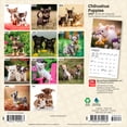 thumbnail image 2 of Chihuahua Puppies | 2027 7x14" (Hanging) Mini Wall Calendar, 2 of 9