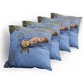 thumbnail image 5 of Ambesonne Fox Throw Pillow Cover 4 Pack, Fox Swimming in River, 24", Pale Blue Brown Cream, 5 of 7
