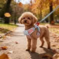 thumbnail image 4 of EGNMCR Checked Pet Strap And Leash Set Breathable Mesh Vests With Adjustable Straps Suitable For Small And Medium Cats And Dogs polyester harness leash, 4 of 7