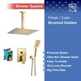 thumbnail image 3 of Rainlex One-Handle 1-Spray Setting Brushed Gold Bathtub Shower Faucet, 3 of 4