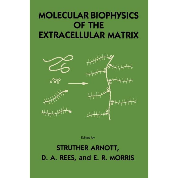 Molecular Biophysics of the Extracellular Matrix, (Paperback)