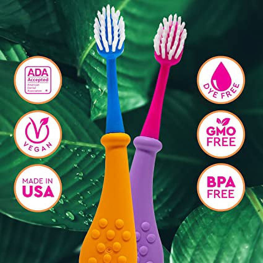 RADIUS Big Kidz Forever Brush with Replaceable Head Toothbrush for Children, 6 Years and Up, BPA Free ADA Accepted for Growing Teeth and Gums - Right and Left Handed, Extra Soft - Pack of 3