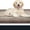 Beige & Grayish Brown, variant on Dirt Trapping Door Ma, Non-Slip Machine Washable Entryway Rug, Entrance Mat, Indoor Front Door Mat, Super Absorbent Entry Rug for Muddy Shoes & Paws