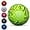 Green, variant on Vizari Zodiac Soccer Ball | Sizes 3, 4, 5 | Durable Waterproof Synthetic Leather | For Youth & Adults - GREEN, 5