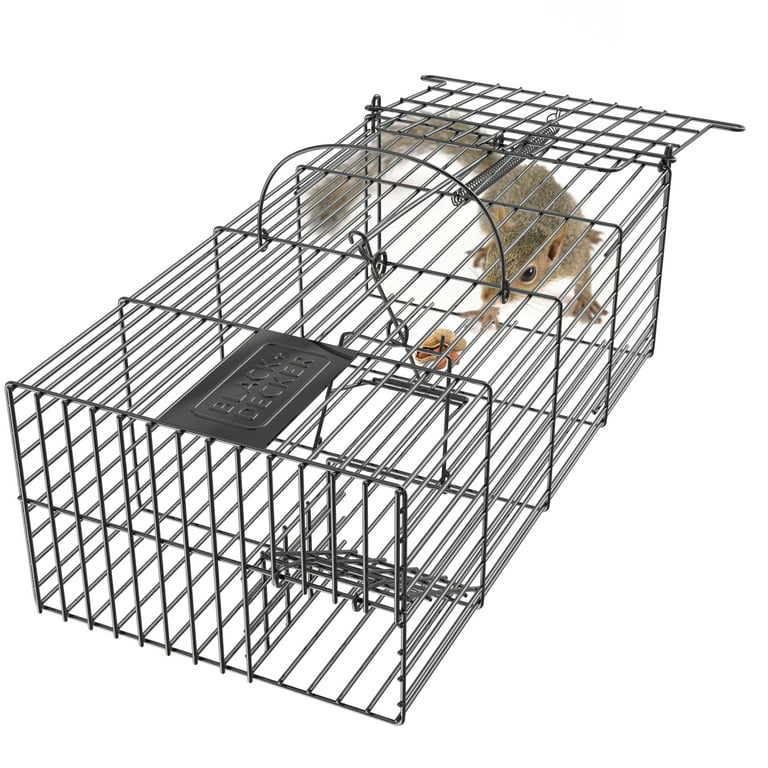 Anyhall 2-Pack Rat Traps Humane Live Mouse Vole Chipmunk Trap Cage for  Indoors and Outdoors (Black)