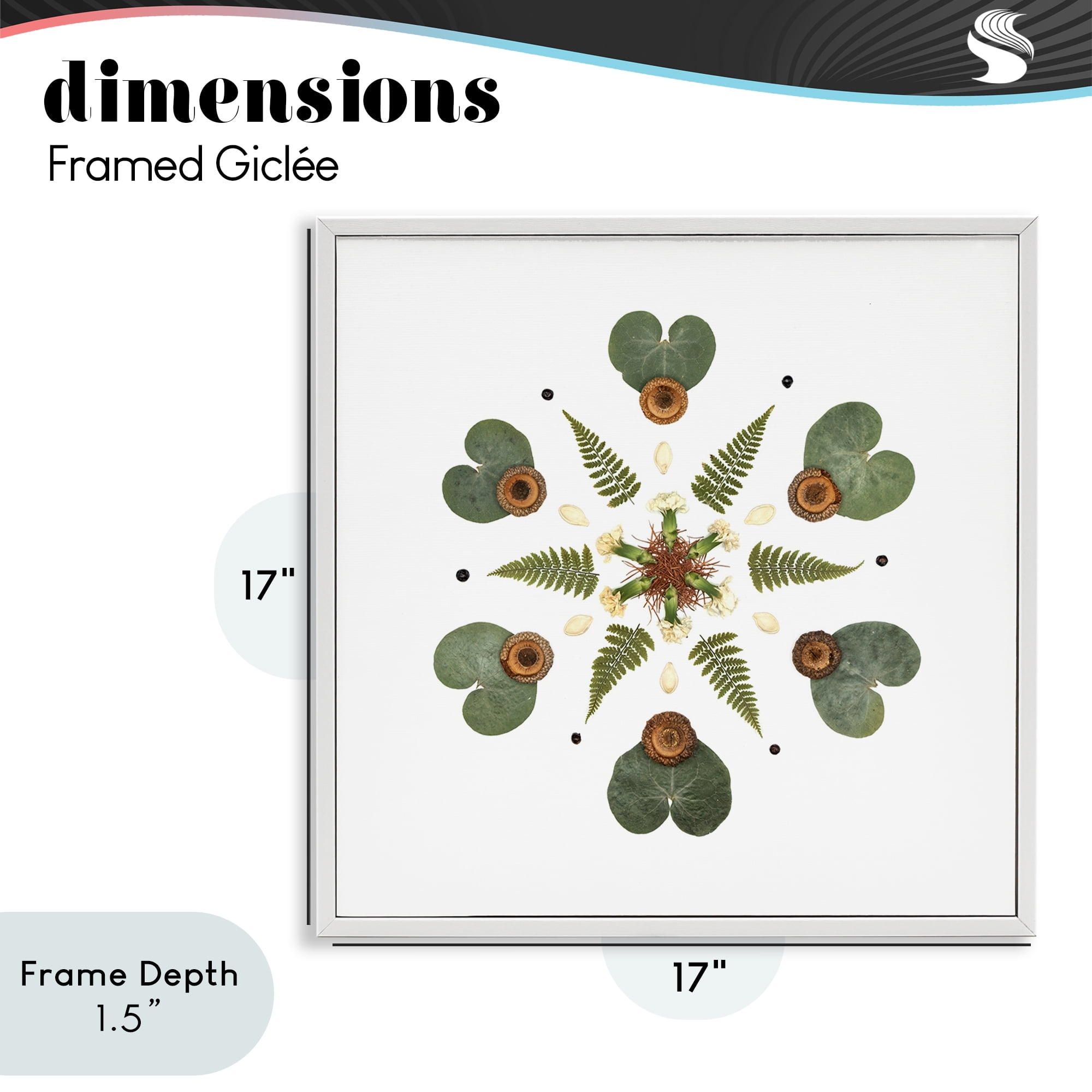 Stupell Industries Lily Pad & Fern Mandala White Framed Giclee Art, design by Beth Adoette