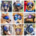 thumbnail image 2 of Gafas protectoras Namsan transparentes para perros grandes con protección ocular anti-UV, 2 of 7