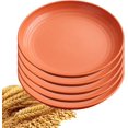 thumbnail image 1 of 5Pcs Dinner Plates Wheats Straw Plates Set Unbreakable Reusable,Lightweight,Smooth Edge Plate Dishwasher & Microwave Safe (Orange,11 inch), 1 of 8