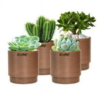 Greenship S-16G12-5C-4 5 in. Indoor Planter Pot - Chocolate, Pack of 4