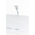 thumbnail image 2 of Oberai, Jassi 23x32 White Modern Wood Framed Museum Art Print Titled - Lonely at Top, 2 of 4